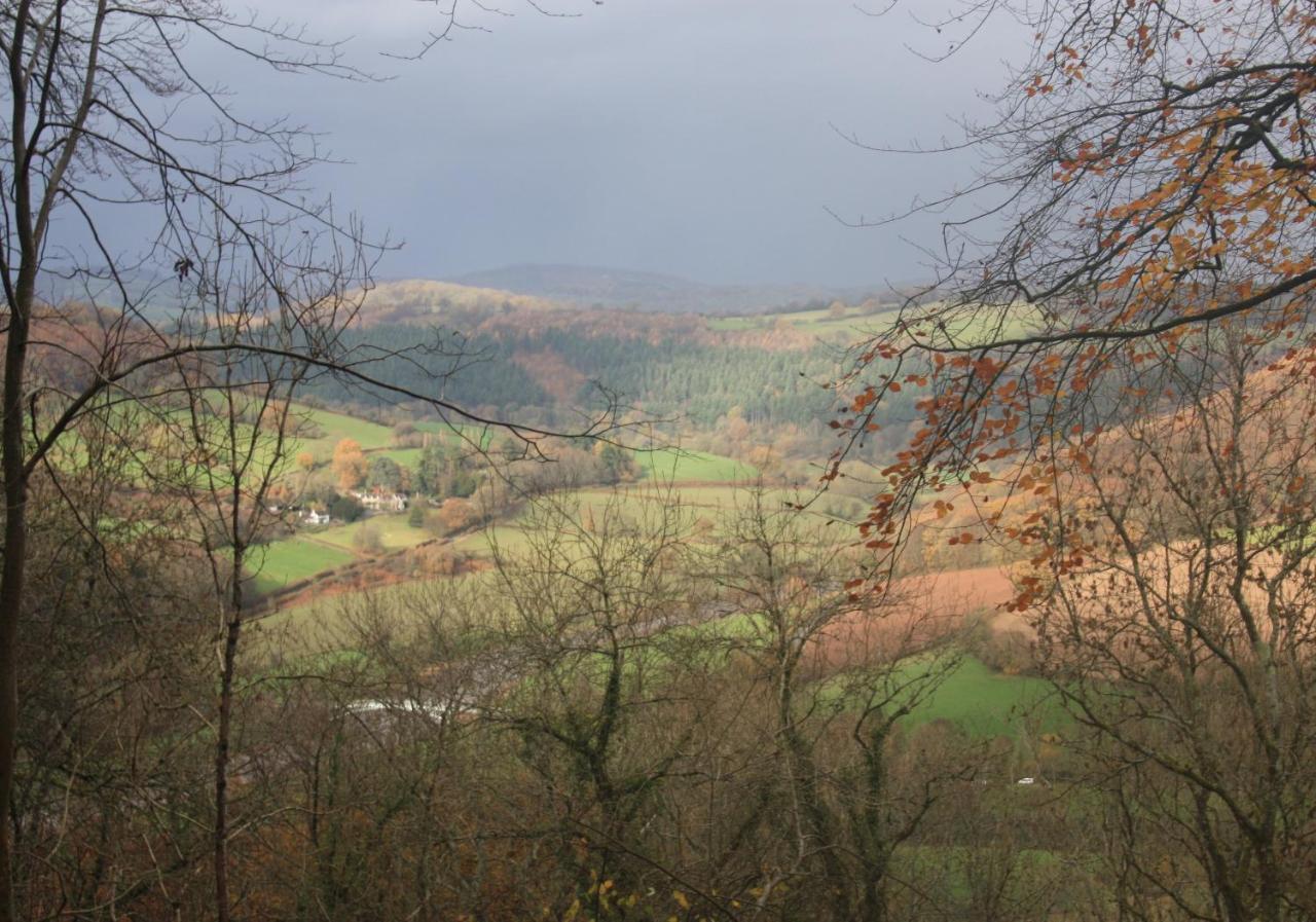 Villa Sunnyview Annexe à Saint Briavels Extérieur photo